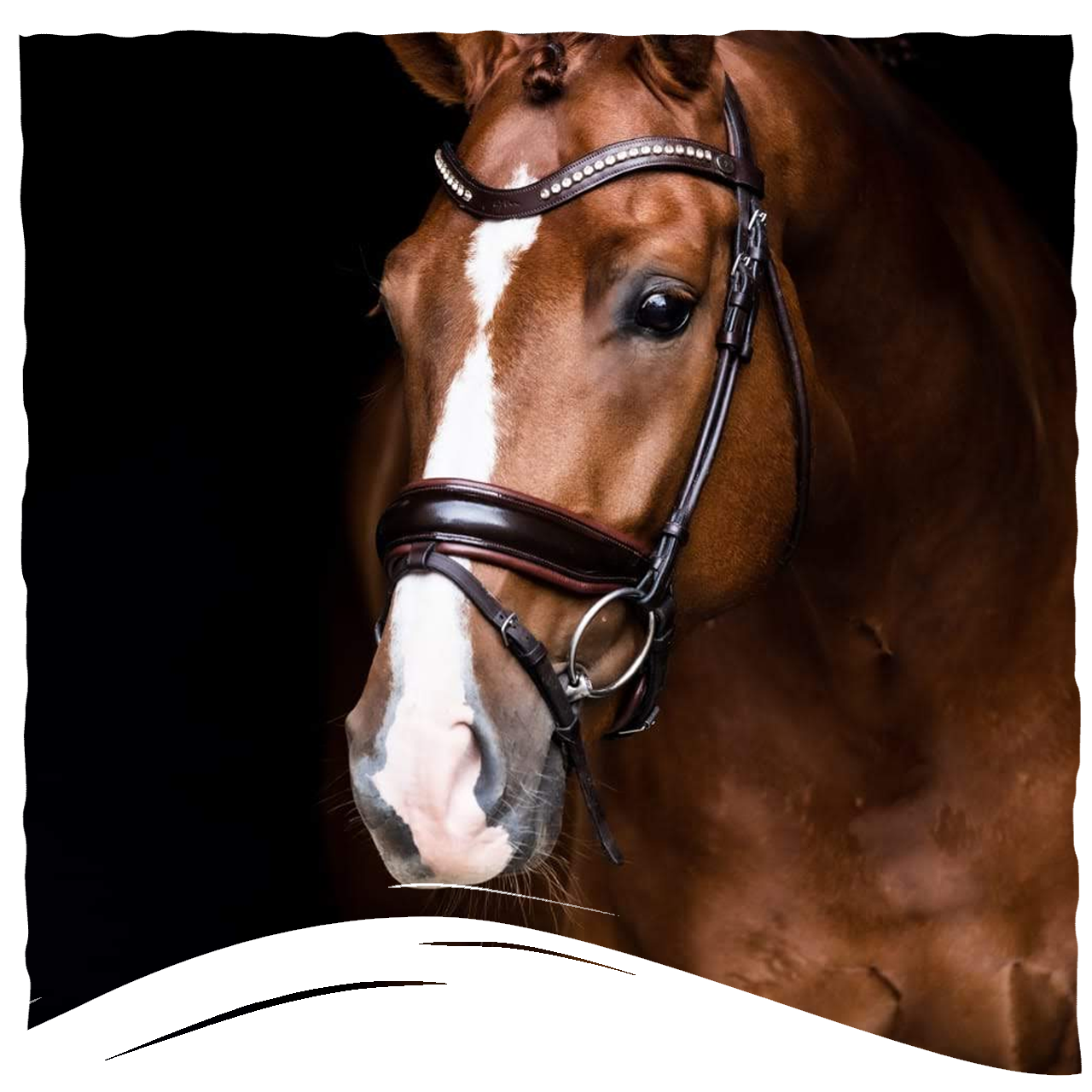 Pensionstal